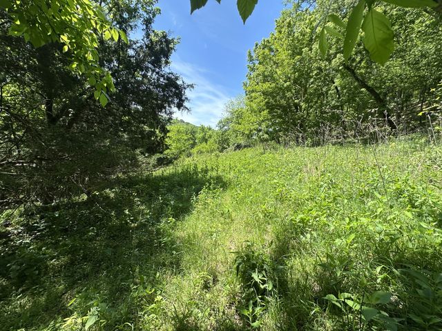 202 Maggart Rd, Elmwood, TN 38560