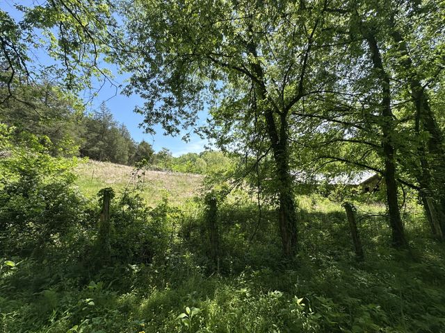 202 Maggart Rd, Elmwood, TN 38560