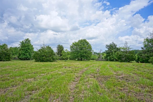 2905 Lee Ln, Bedias, TX 77831