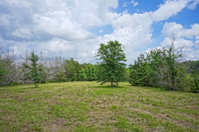 2905 Lee Ln, Bedias, TX 77831
