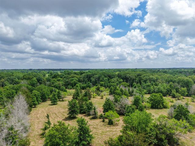 2905 Lee Ln, Bedias, TX 77831