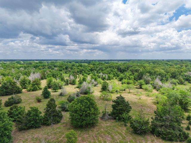2905 Lee Ln, Bedias, TX 77831