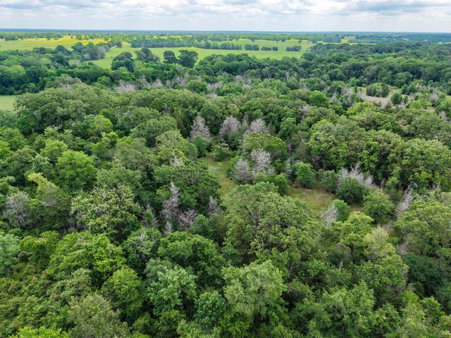 2905 Lee Ln, Bedias, TX 77831