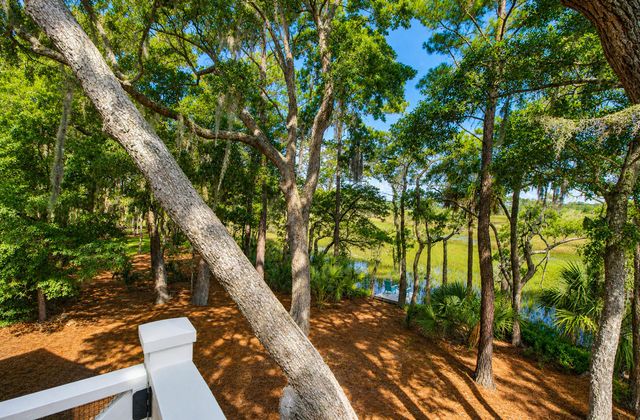 227 Palmetto Bluff, Mount Pleasant, SC 29464