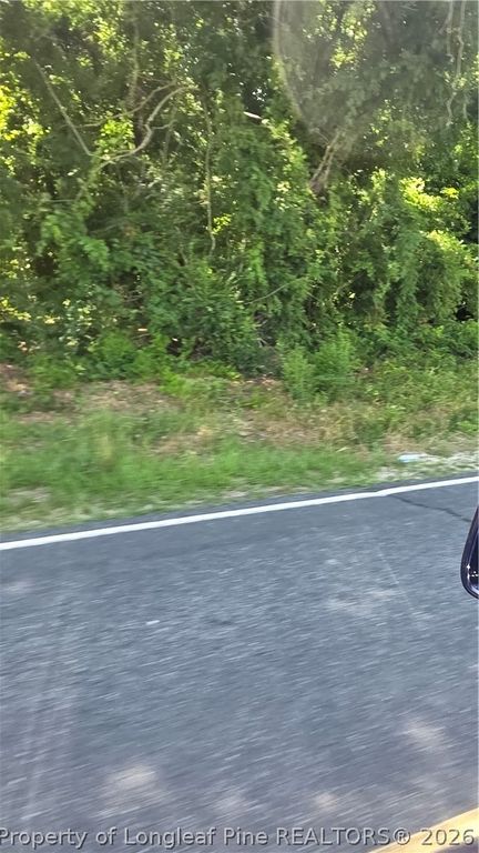Lakewood School Road, Salemburg, NC 28385 — photo 2