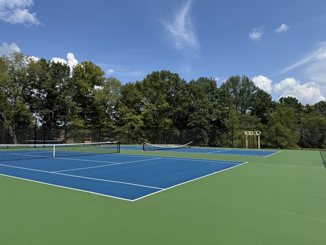 6017 Elliott Court, Arrington, TN 37014