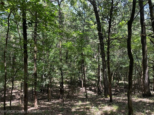 Tract 1 Webber Creek Road, Muldrow, OK 74948