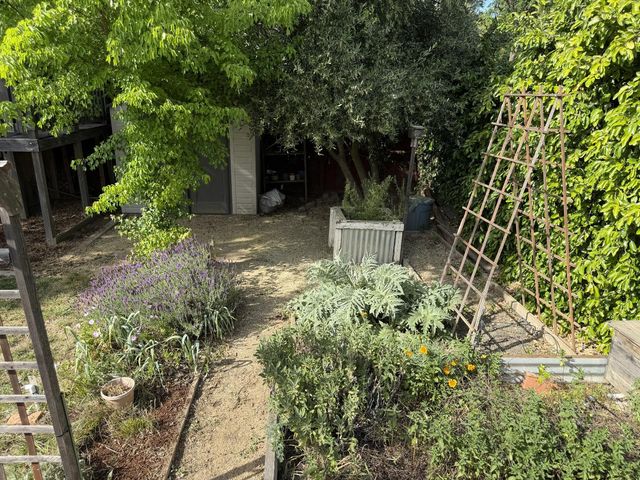 938 snyder, Davis, CA 95616