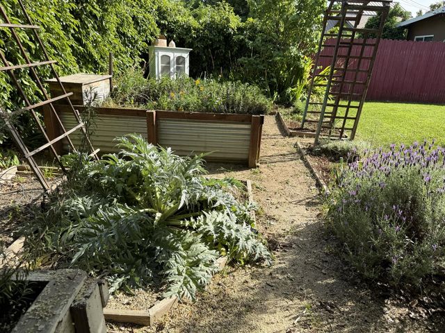 938 snyder, Davis, CA 95616