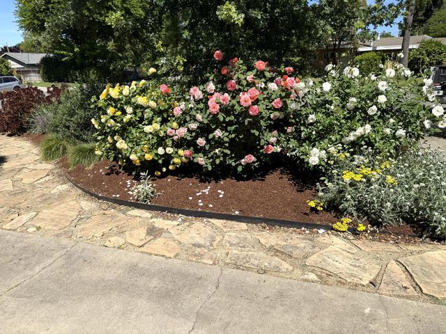 938 snyder, Davis, CA 95616