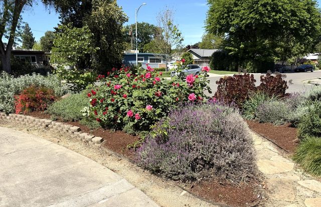 938 snyder, Davis, CA 95616