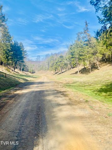 Lot Vineyard Valley Drive, Butler, TN 37640
