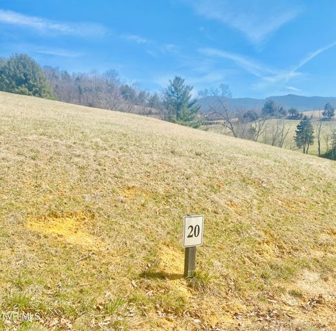 Lot Vineyard Valley Drive, Butler, TN 37640