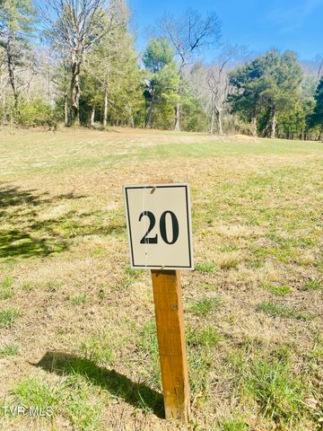 Lot Vineyard Valley Drive, Butler, TN 37640