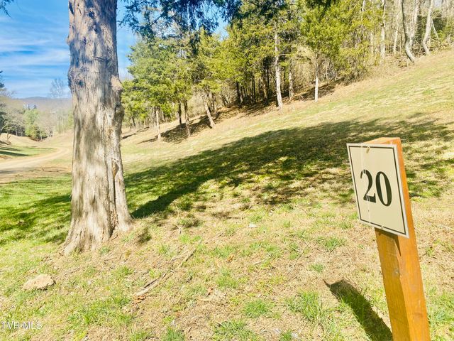 Lot Vineyard Valley Drive, Butler, TN 37640