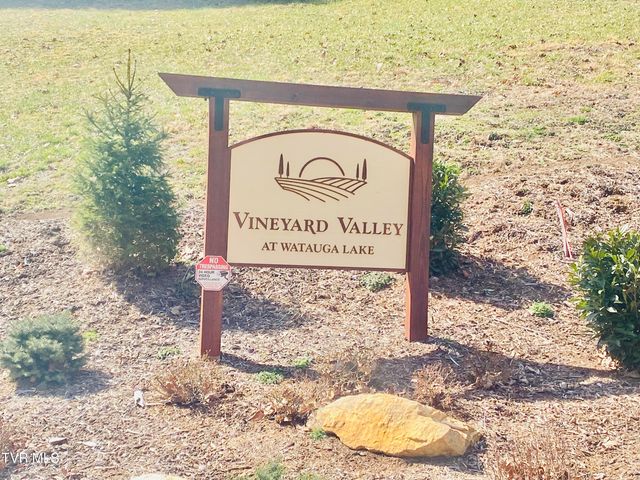 Lot Vineyard Valley Drive, Butler, TN 37640