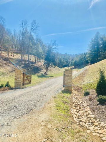 Lot Vineyard Valley Drive, Butler, TN 37640