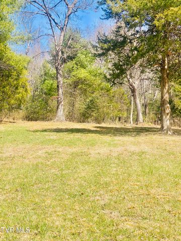 Lot Vineyard Valley Drive, Butler, TN 37640