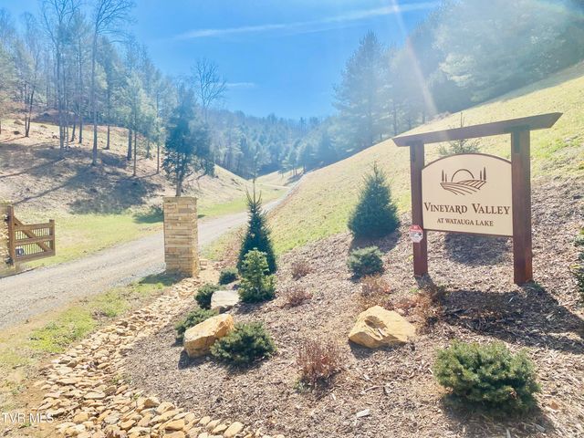 Lot Vineyard Valley Drive, Butler, TN 37640