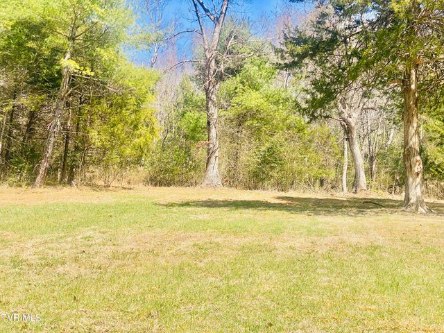 Lot Vineyard Valley Drive, Butler, TN 37640