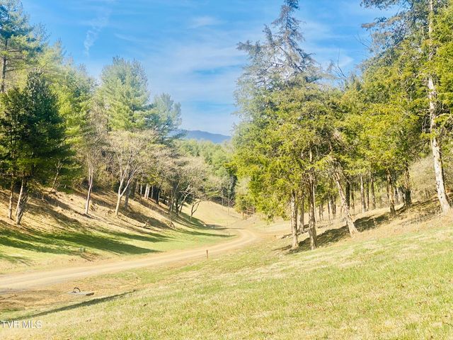 Lot Vineyard Valley Drive, Butler, TN 37640