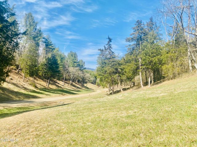 Lot Vineyard Valley Drive, Butler, TN 37640