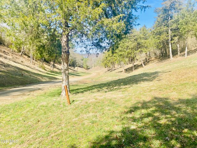 Lot Vineyard Valley Drive, Butler, TN 37640