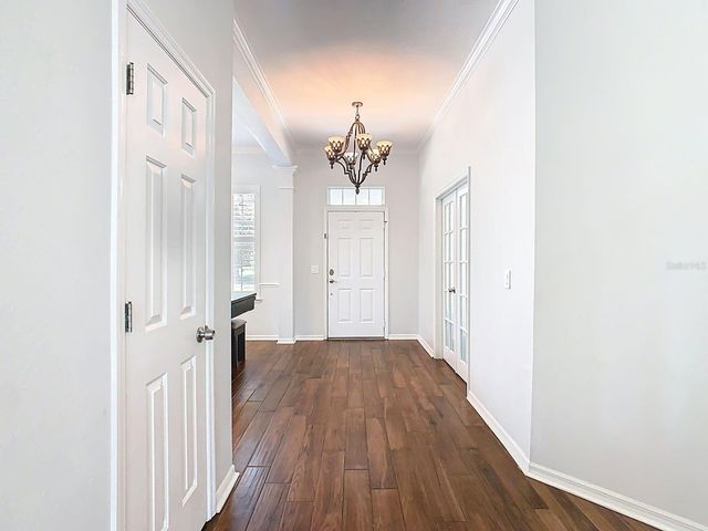 307 NORFOLK STREET, Celebration, FL 34747