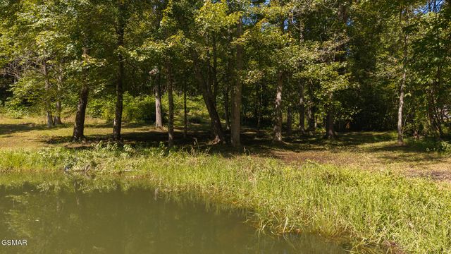 997 Miller Hollow Road, Bean Station, TN 37708