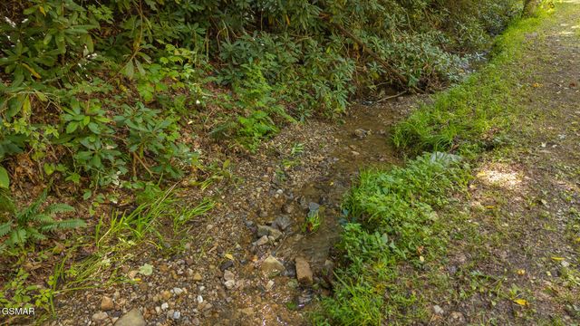 997 Miller Hollow Road, Bean Station, TN 37708