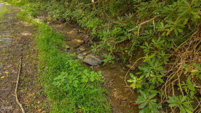 997 Miller Hollow Road, Bean Station, TN 37708