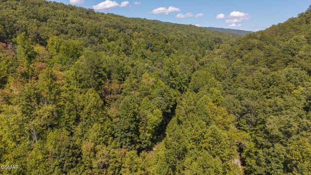 997 Miller Hollow Road, Bean Station, TN 37708