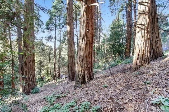 2661 Scenic, Crestline, CA 92325