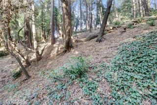 2661 Scenic, Crestline, CA 92325