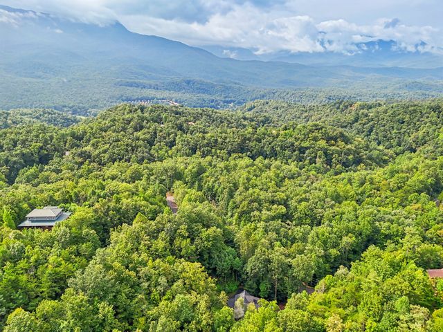 641 Pinnacle Vista Rd, Gatlinburg, TN 37738