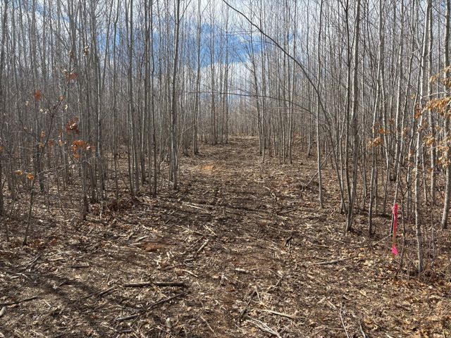 28791 Spotted Fawn Road, Danbury, WI 54830