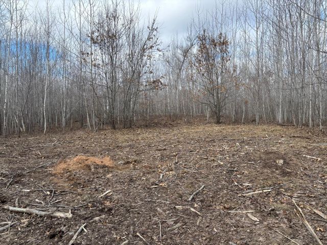 28791 Spotted Fawn Road, Danbury, WI 54830