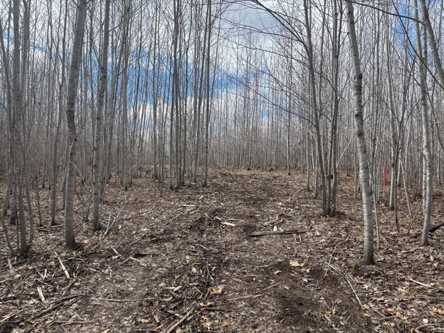 28791 Spotted Fawn Road, Danbury, WI 54830