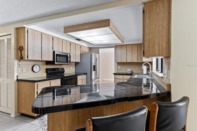 12814 TWIN BRANCH ACRES ROAD, Tampa, FL 33626