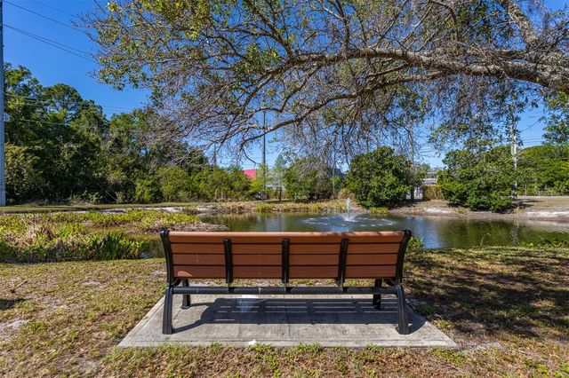 12814 TWIN BRANCH ACRES ROAD, Tampa, FL 33626