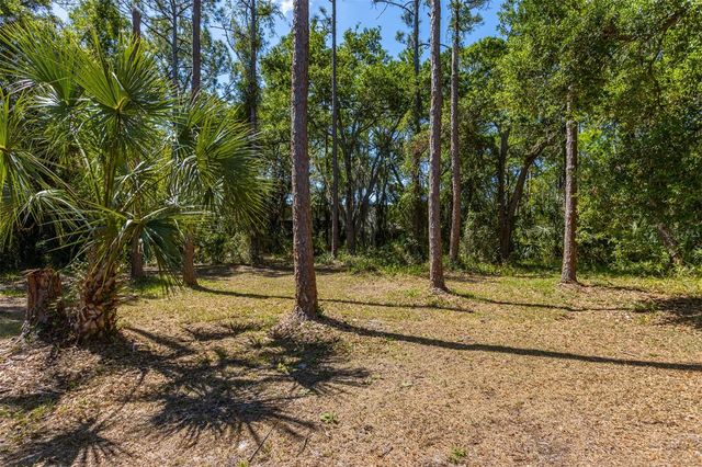 12814 TWIN BRANCH ACRES ROAD, Tampa, FL 33626