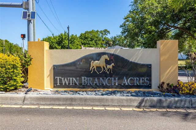 12814 TWIN BRANCH ACRES ROAD, Tampa, FL 33626