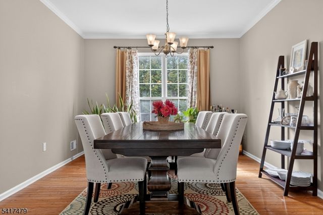 30 Cascades Ter, Branchburg Twp., NJ 08876