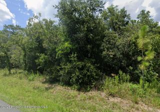 0 Convent Garden Road, Brooksville, FL 34613