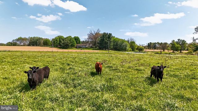 1599 SANCTUARY RD, Manheim, PA 17545