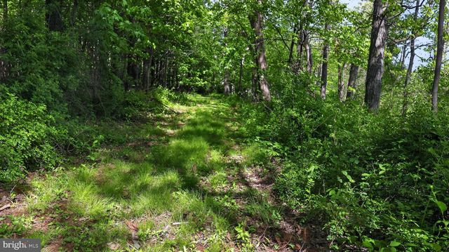 1599 SANCTUARY RD, Manheim, PA 17545