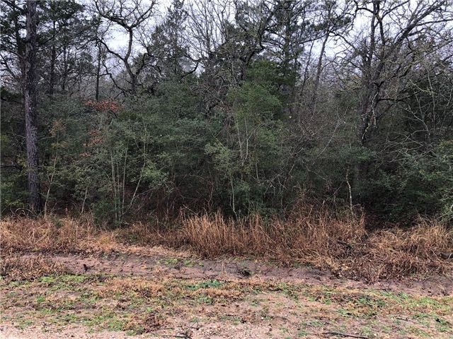 TBD Kaelepulu Dr., Bastrop, TX 78602