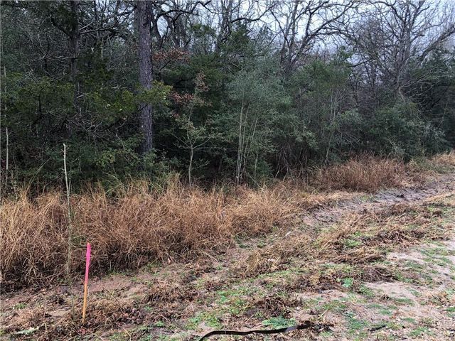 TBD Kaelepulu Dr., Bastrop, TX 78602