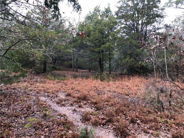 TBD Kaelepulu Dr., Bastrop, TX 78602