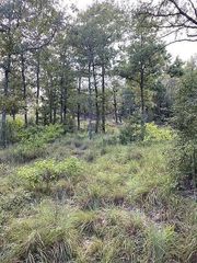 TBD Kaelepulu Dr., Bastrop, TX 78602